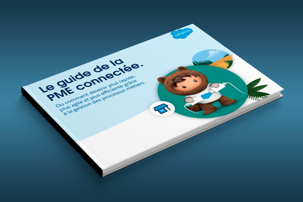Guide-de-Salesforce-PME-connectee
